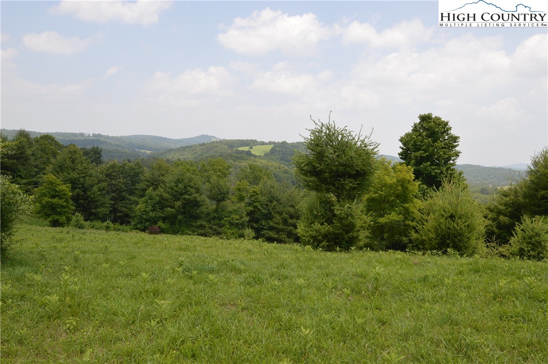 Ridgeglen Road Sparta, NC 28675 - Photo 1 of 34 a view of a field of grass and trees