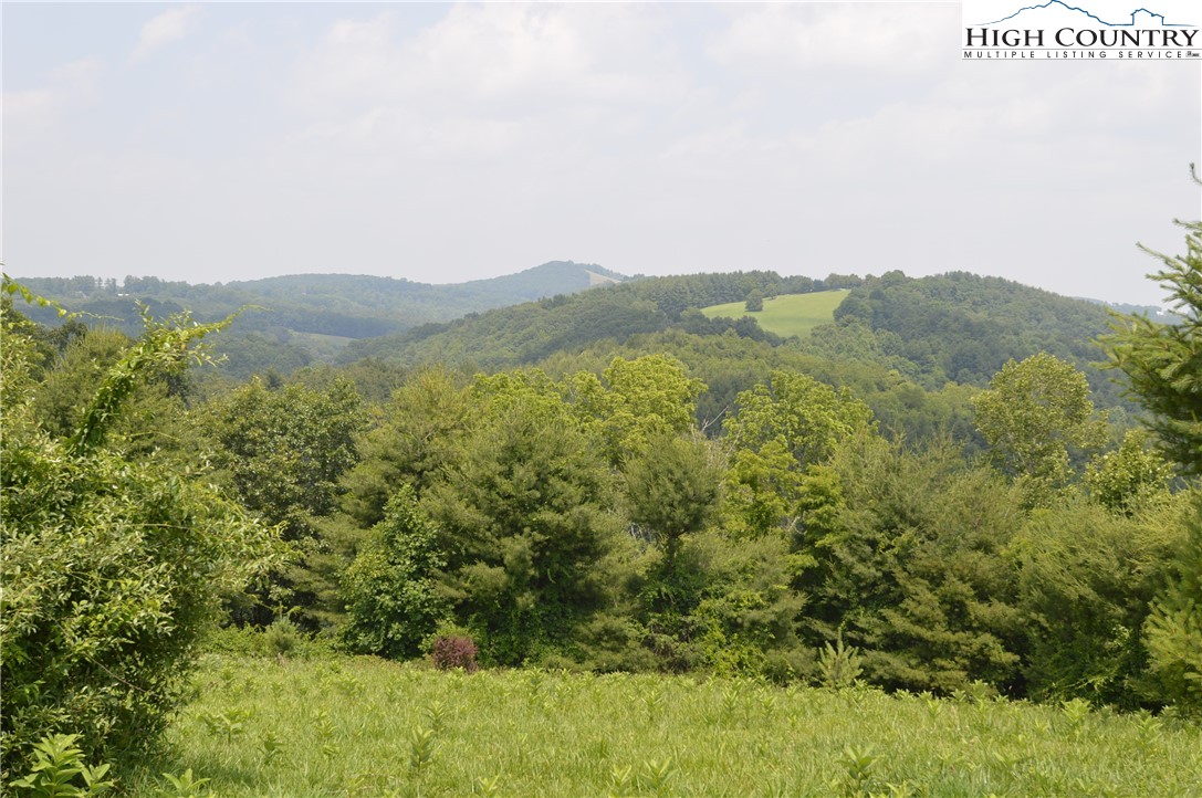 Ridgeglen Road Sparta, NC 28675 - Photo 13 of 34 a view of a lush green forest with trees in the background