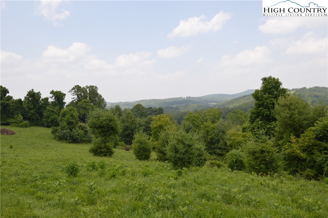 Ridgeglen Road Sparta, NC 28675 - Photo 15 of 34 a view of a green field with lots of bushes