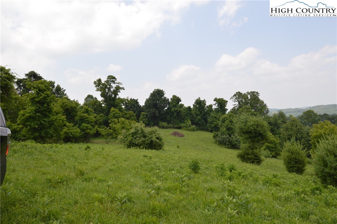 Ridgeglen Road Sparta, NC 28675 - Photo 16 of 34 a view of a big yard with lots of green space