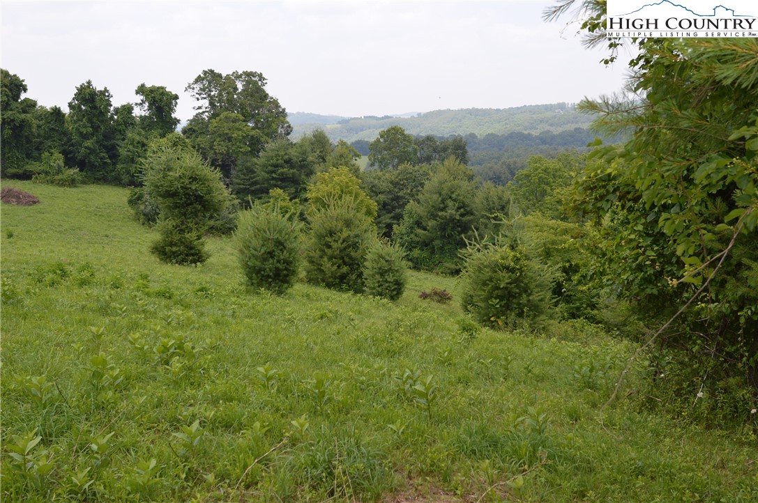 Ridgeglen Road Sparta, NC 28675 - Photo 17 of 34 a view of a lush green forest with trees and some houses