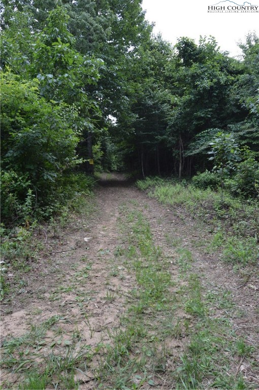 Ridgeglen Road Sparta, NC 28675 - Photo 25 of 34 a view of outdoor space and yard