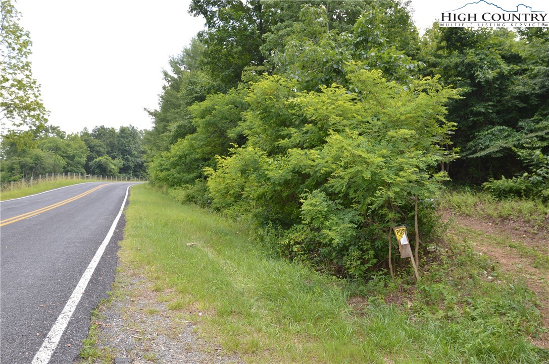Ridgeglen Road Sparta, NC 28675 - Photo 26 of 34 a view of a yard with a tree
