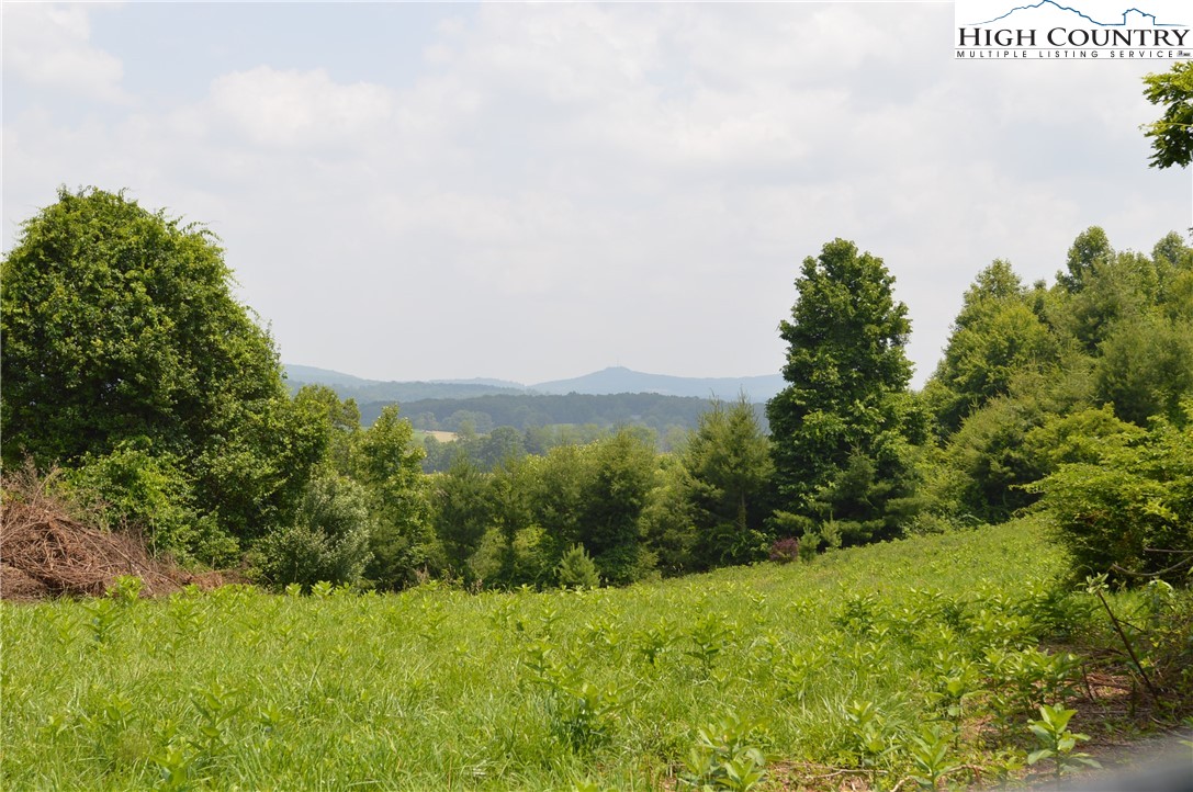 Ridgeglen Road Sparta, NC 28675 - Photo 4 of 34 a view of a green field with lots of bushes