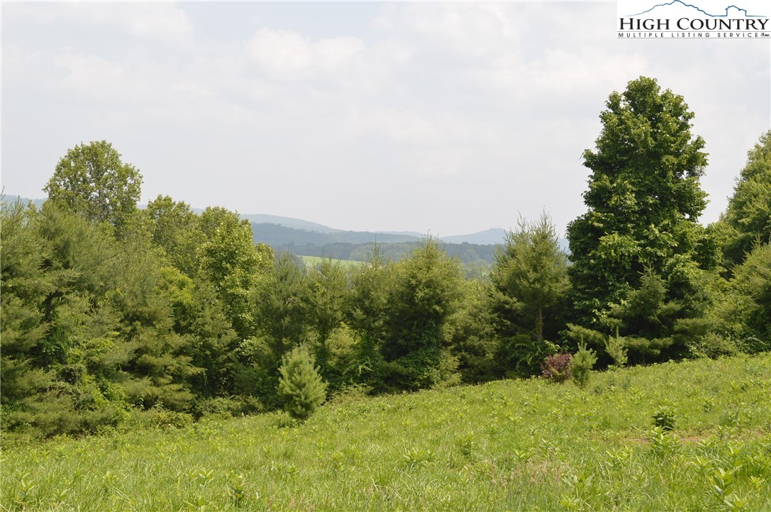 Ridgeglen Road Sparta, NC 28675 - Photo 6 of 34 a view of a green field