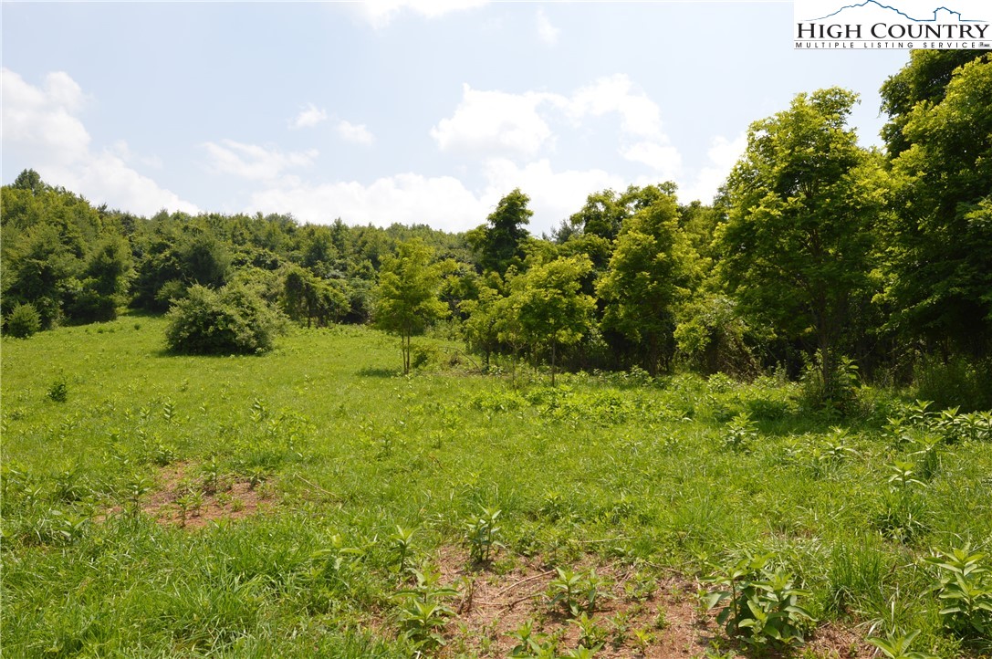 Ridgeglen Road Sparta, NC 28675 - Photo 9 of 34 a view of a green field with lots of bushes