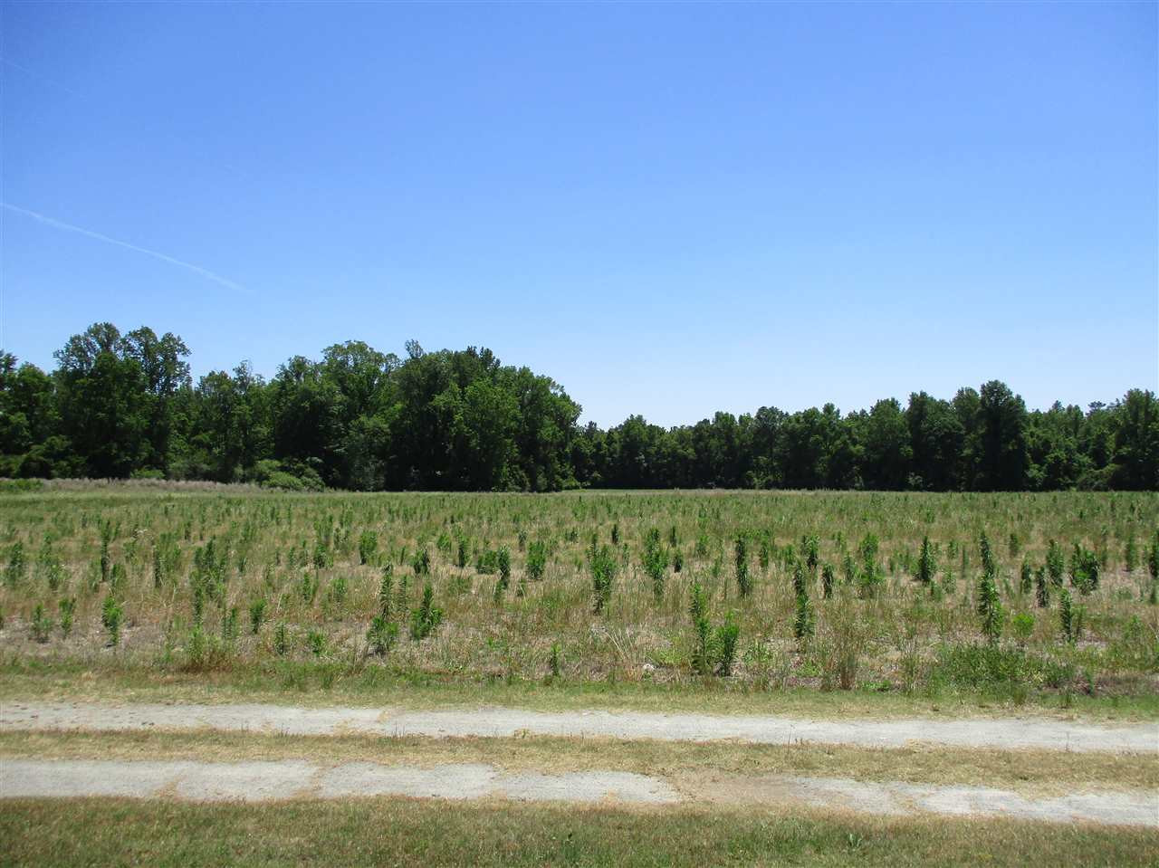 4570 Rains Crossroads Road Princeton, NC 27569 - Photo 21 of 22 Photo 22