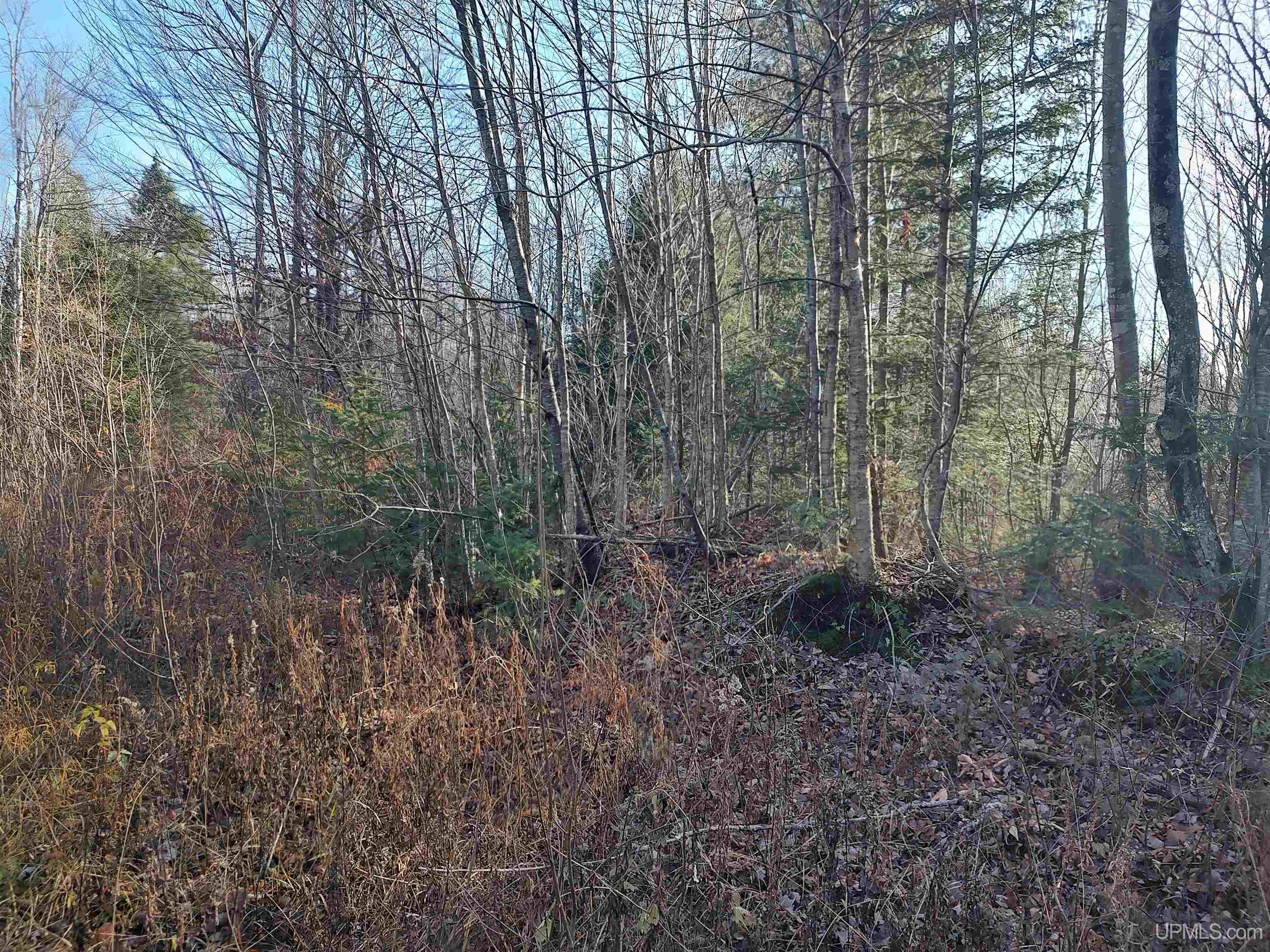 Tbd Billie Helmer Road Deerton, MI 49822 - Photo 10 of 20