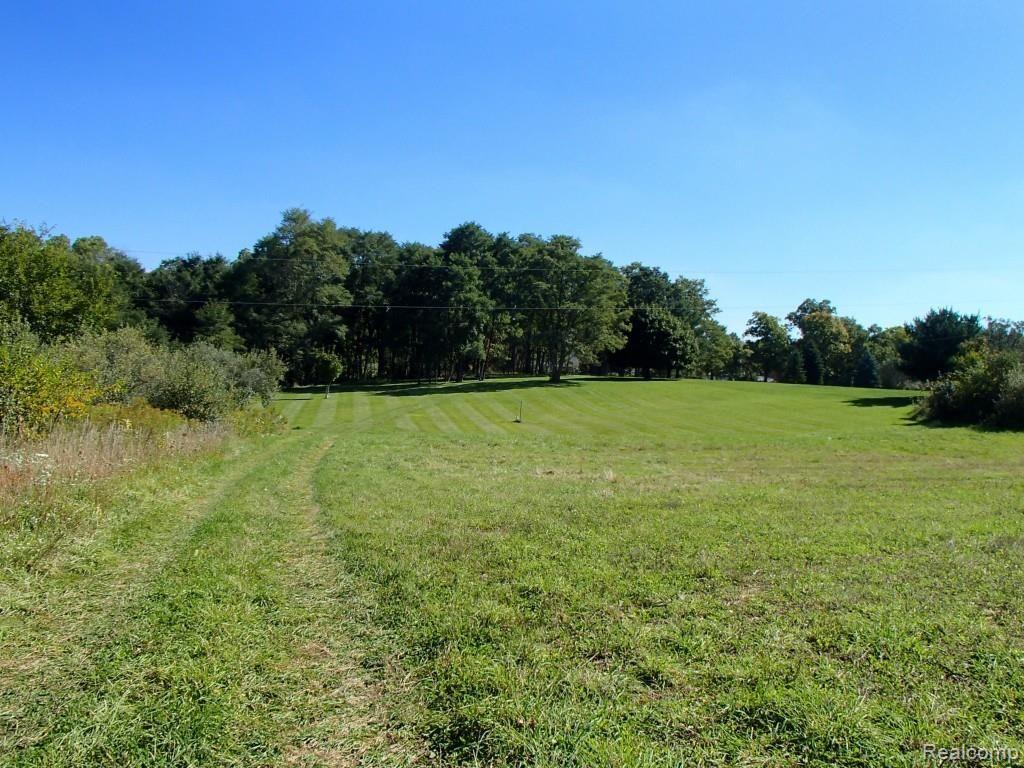 9339 Merrill Road Whitmore Lake, MI 48189 - Photo 5 of 5