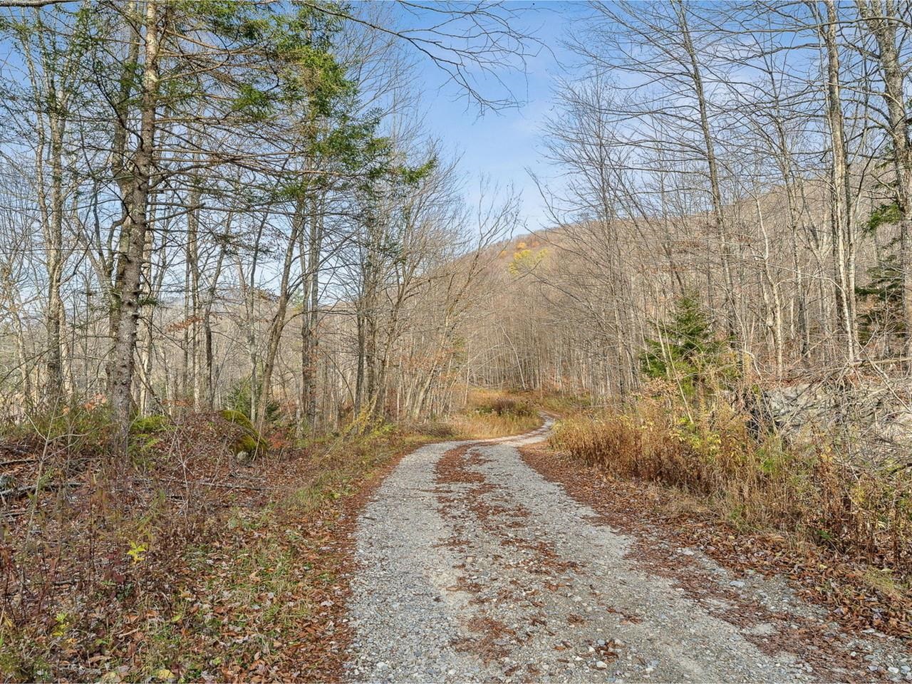 2350 Cobb Hill Road Lincoln, VT 05443 - Photo 20 of 42