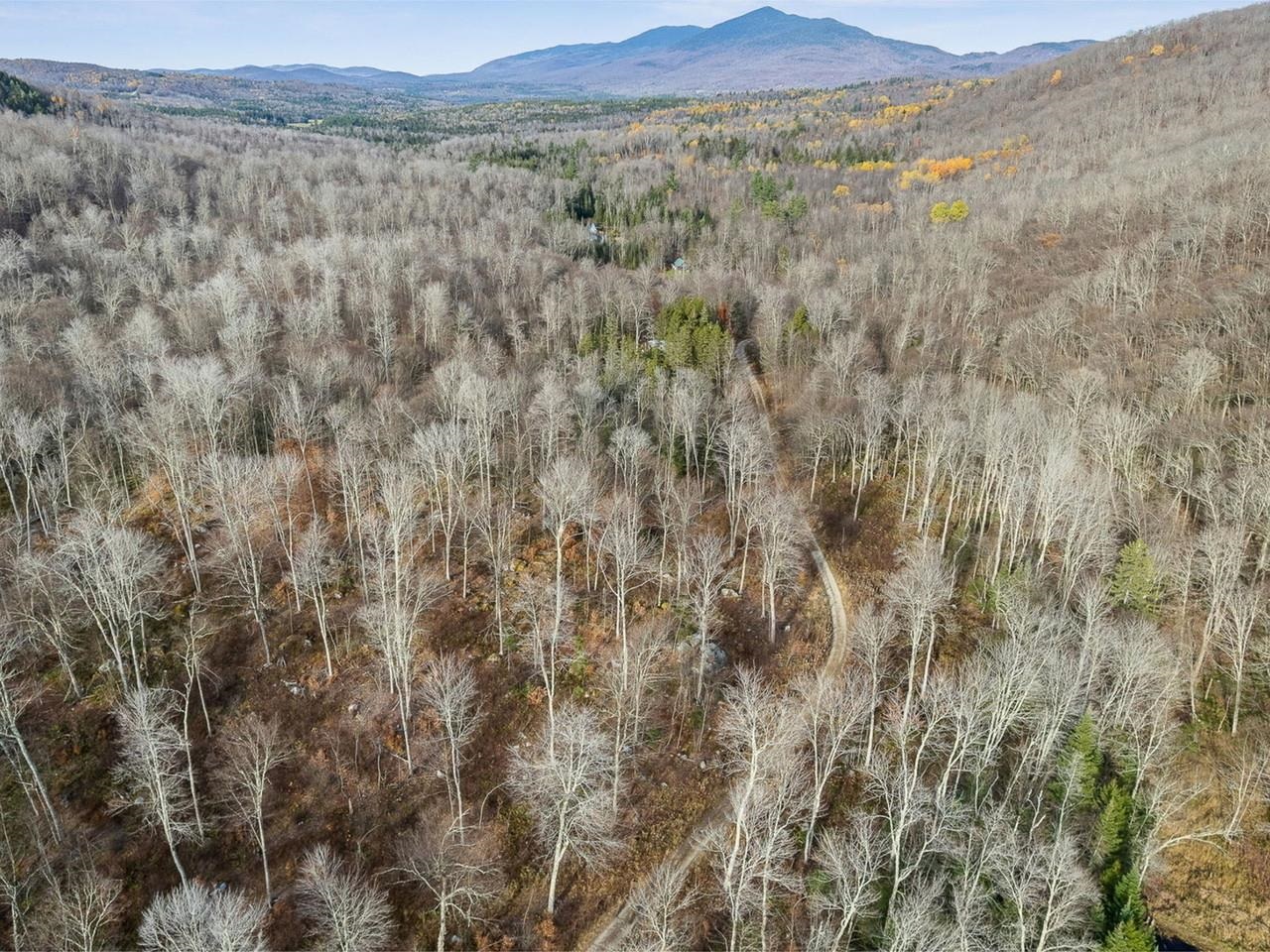 2350 Cobb Hill Road Lincoln, VT 05443 - Photo 21 of 42