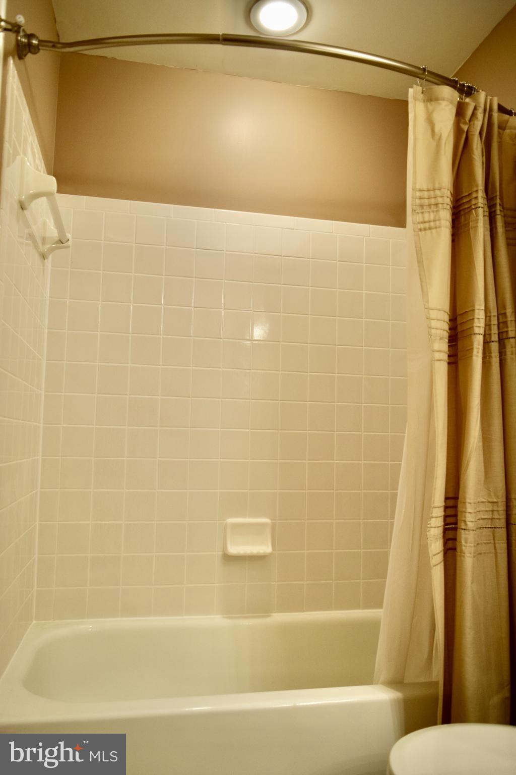 21053 Cornerpost Square Ashburn, VA 20147 - Photo 9 of 9 Hall bathroom