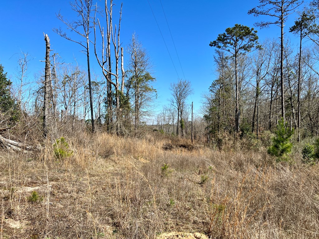 0 County Road 97 Abbeville, AL 36310 - Photo 49 of 53