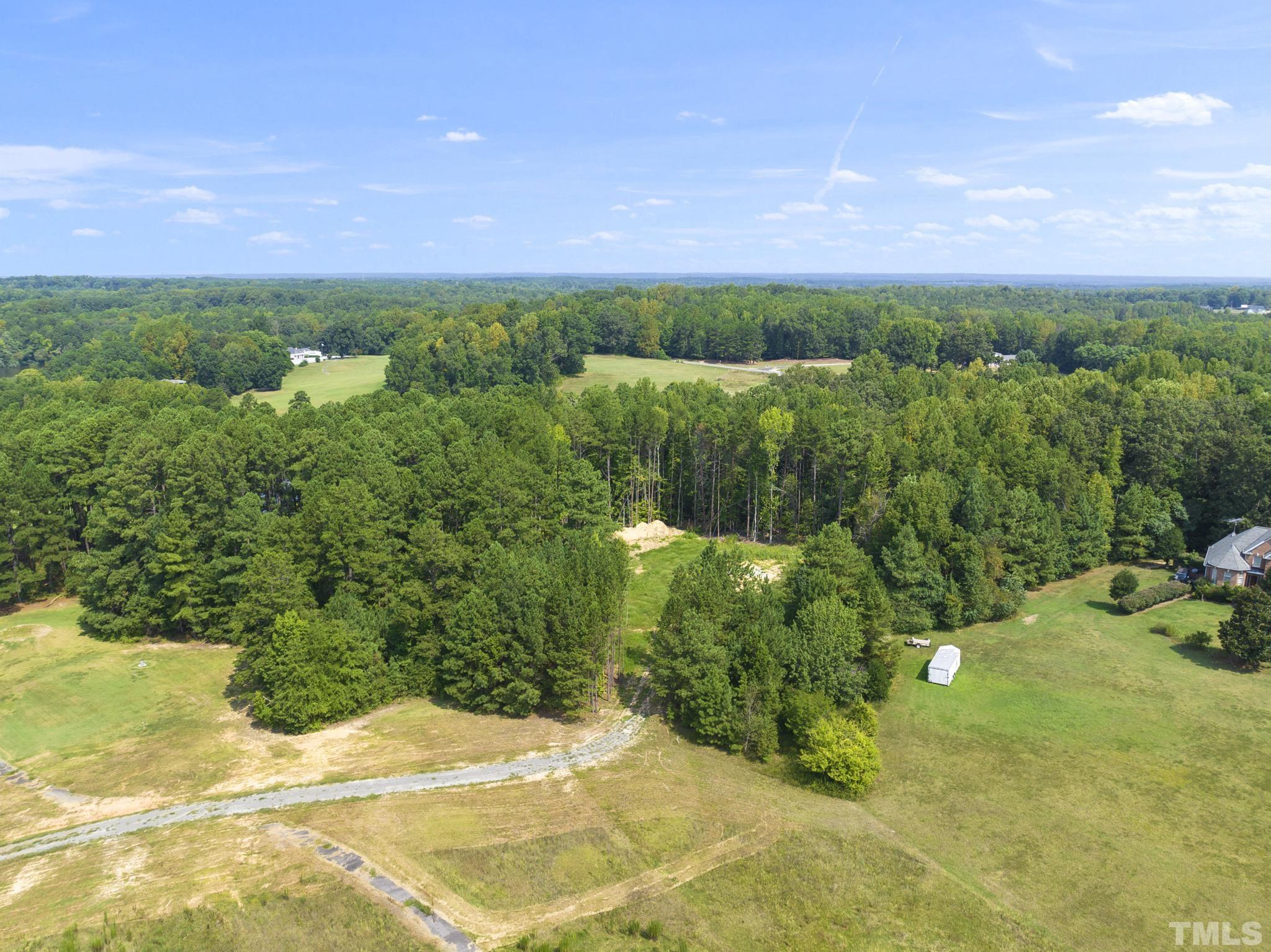 Lot D Chub Lake Road Roxboro, NC 27574 - Photo 23 of 29 a view of a garden with houses