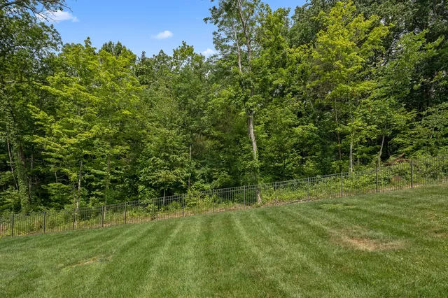 a backyard of a house with lots of green space