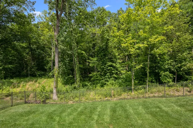 a view of backyard with green space