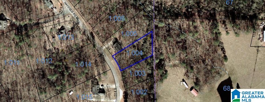 Lot 4 Hayfield Road, Unit LOT 4 Dora, AL 35062 - Photo 5 of 6