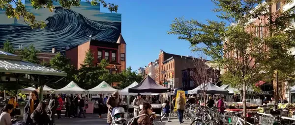 a view of yard with tree
