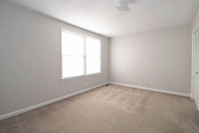 a view of a field with trees in front of it