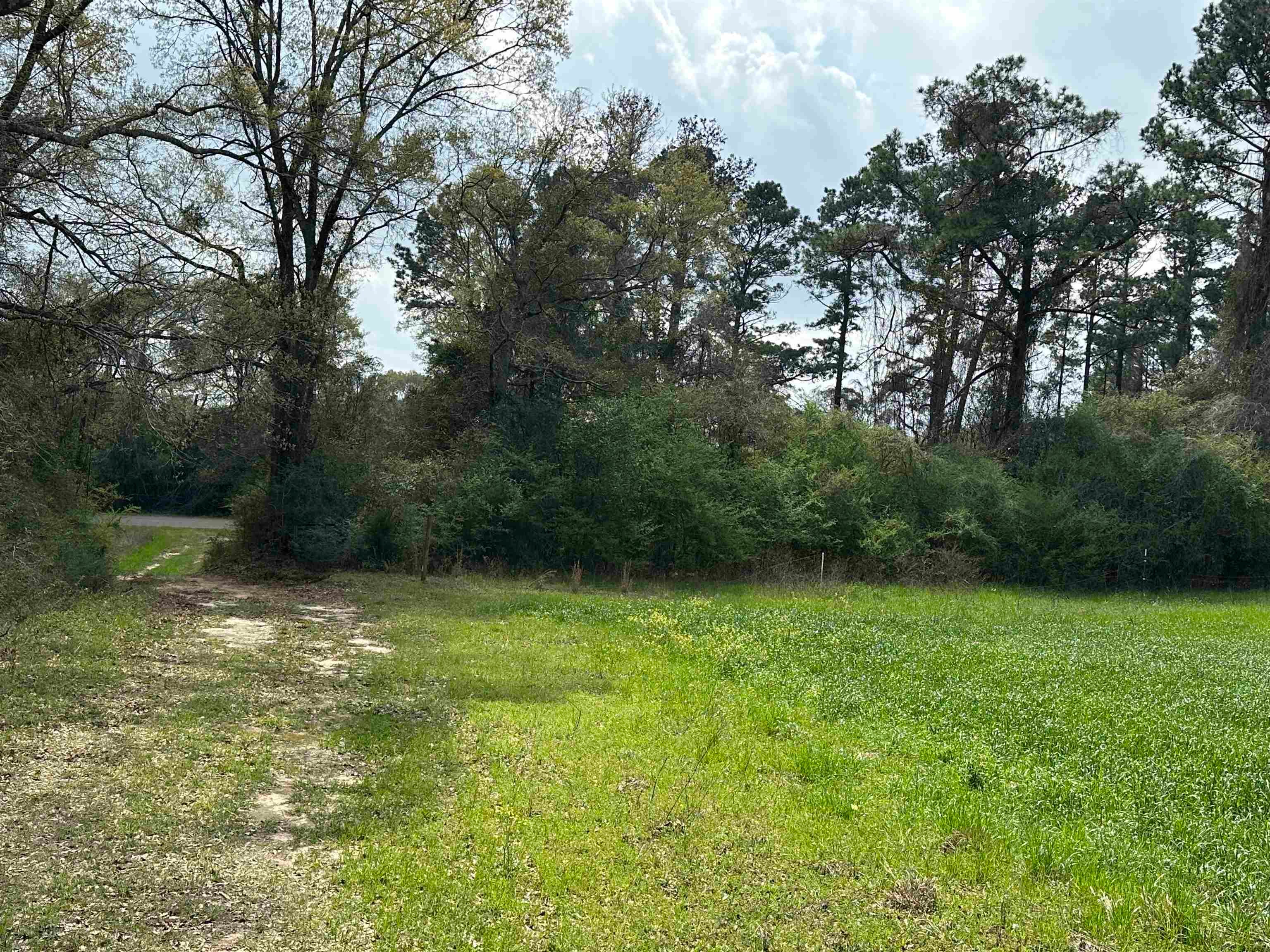 36625 Hesters Store Road Red Level, AL 36474 - Photo 23 of 47 Gallery Image 23