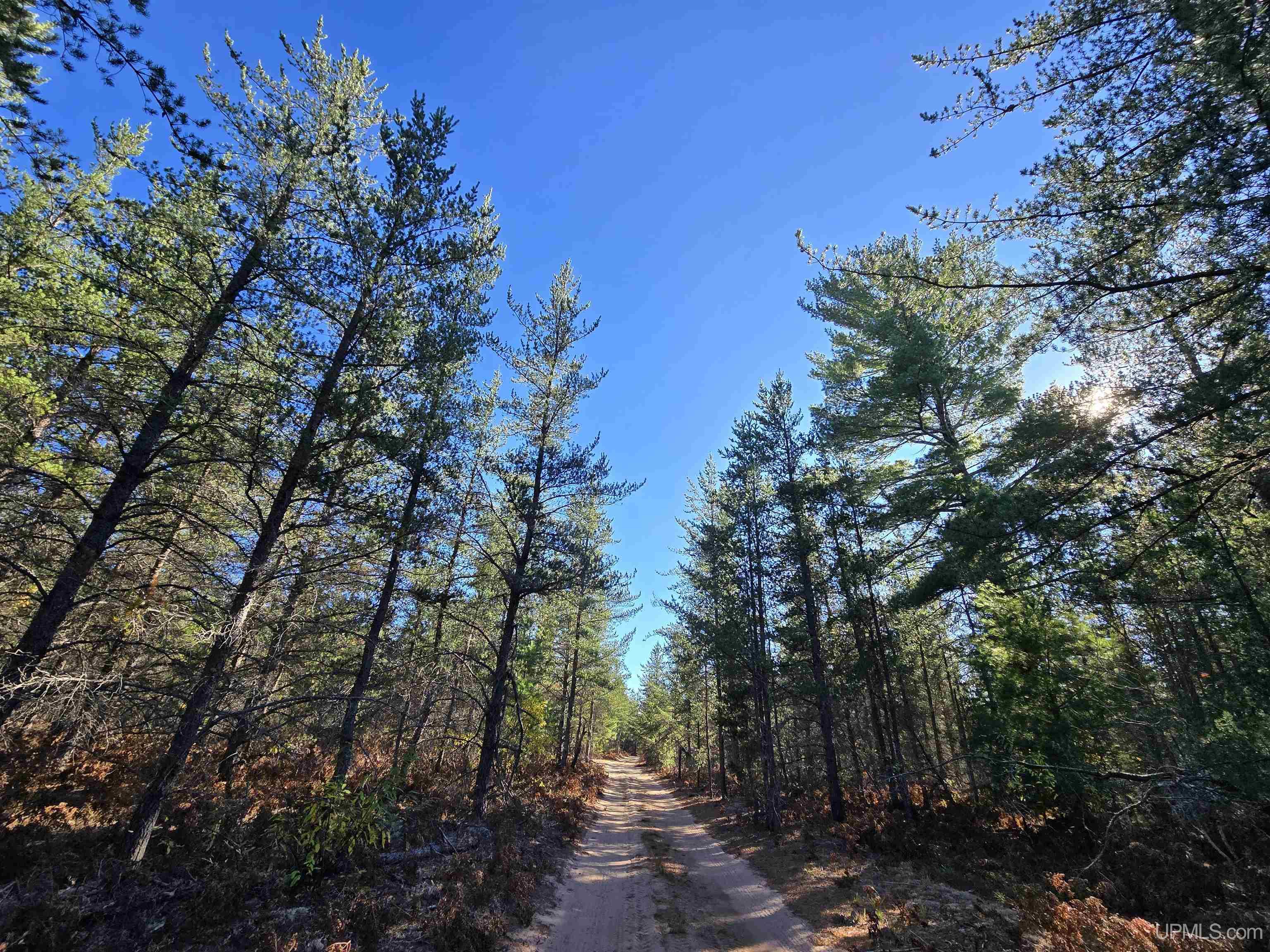 240-acres Co Rd Aaa Road Big Bay, MI 49808 - Photo 5 of 25