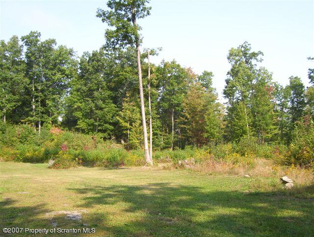 1 Rr Sugar Run Mehoopany, PA 18629 - Photo 2 of 5 a view of a trees with a big yard