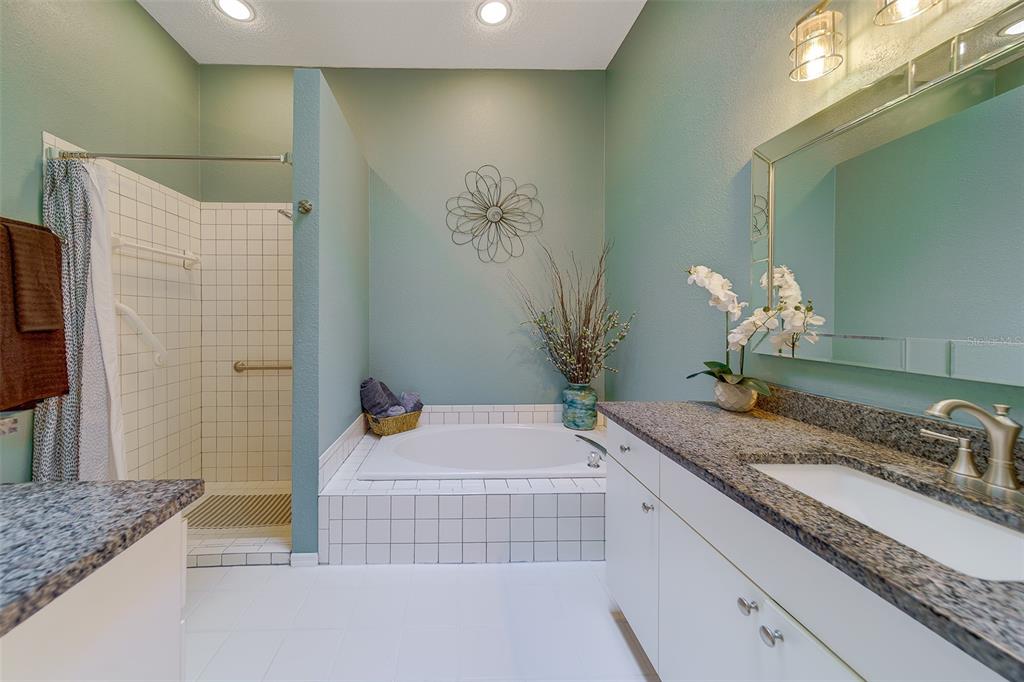 4405 Connery Court Palm Harbor, FL 34685 - Photo 22 of 51 a bathroom with a granite countertop sink a mirror and a shower