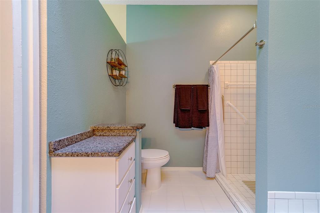 4405 Connery Court Palm Harbor, FL 34685 - Photo 23 of 51 a bathroom with a granite countertop sink a toilet and shower