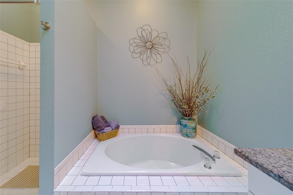 4405 Connery Court Palm Harbor, FL 34685 - Photo 25 of 51 a bathroom with a bathtub