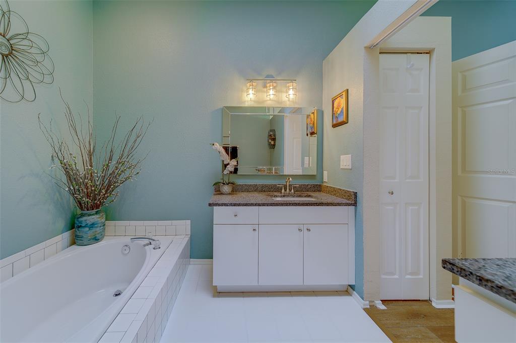 4405 Connery Court Palm Harbor, FL 34685 - Photo 26 of 51 a bathroom with a bathtub sink and mirror