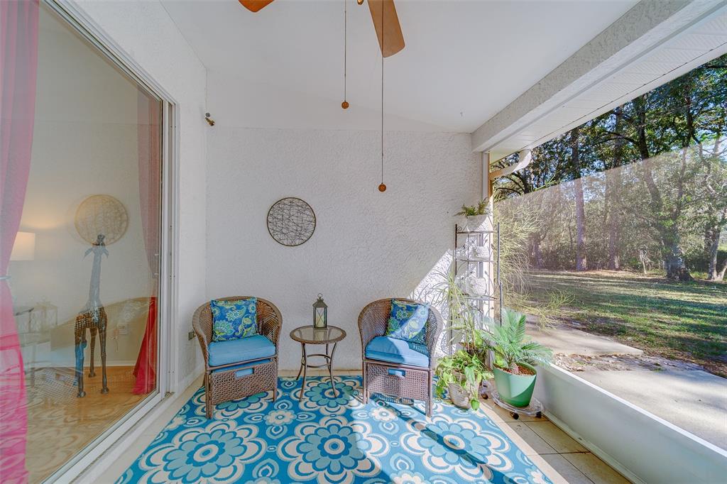 4405 Connery Court Palm Harbor, FL 34685 - Photo 34 of 51 a living room with furniture and a yard