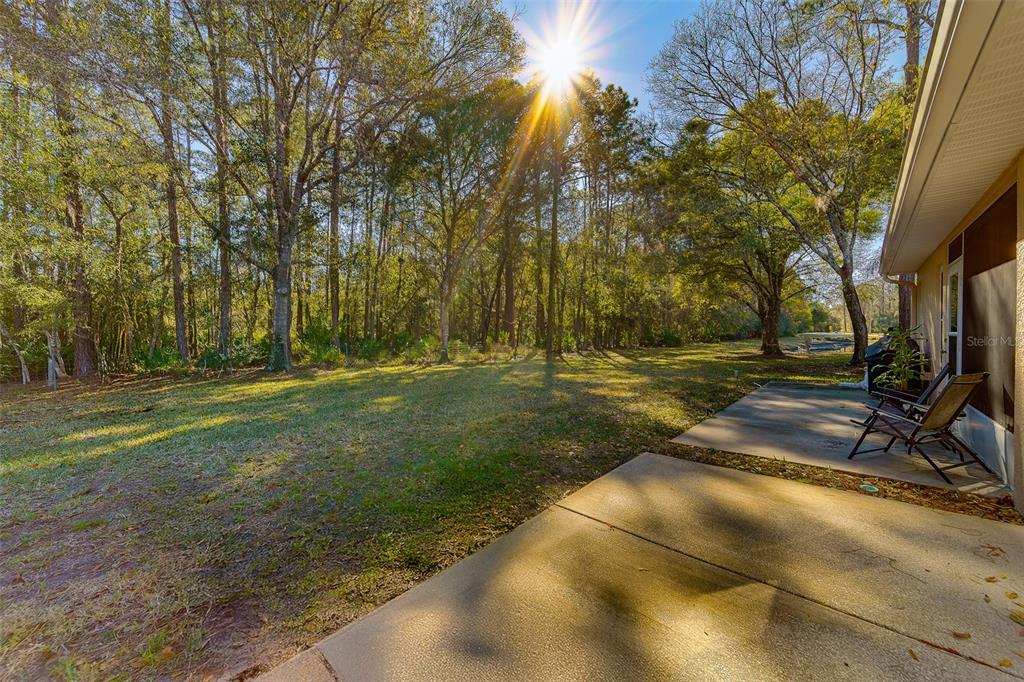 4405 Connery Court Palm Harbor, FL 34685 - Photo 37 of 51 a view of backyard with green space