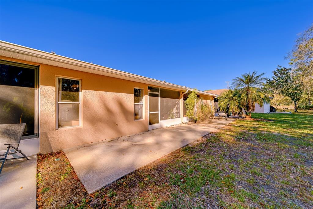 4405 Connery Court Palm Harbor, FL 34685 - Photo 40 of 51 a view of a house with backyard and trees