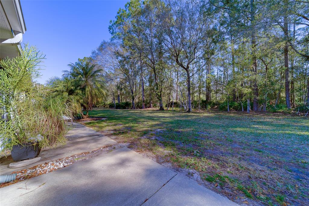 4405 Connery Court Palm Harbor, FL 34685 - Photo 41 of 51 a view of a park