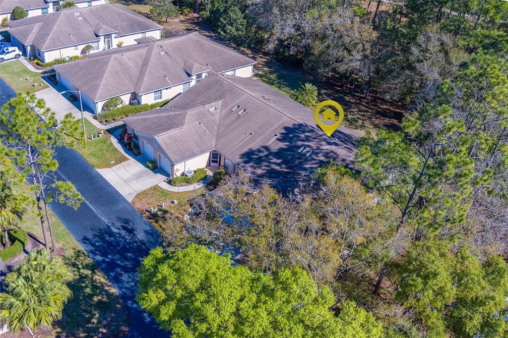 4405 Connery Court Palm Harbor, FL 34685 - Photo 46 of 51 an aerial view of house with yard swimming pool and outdoor seating