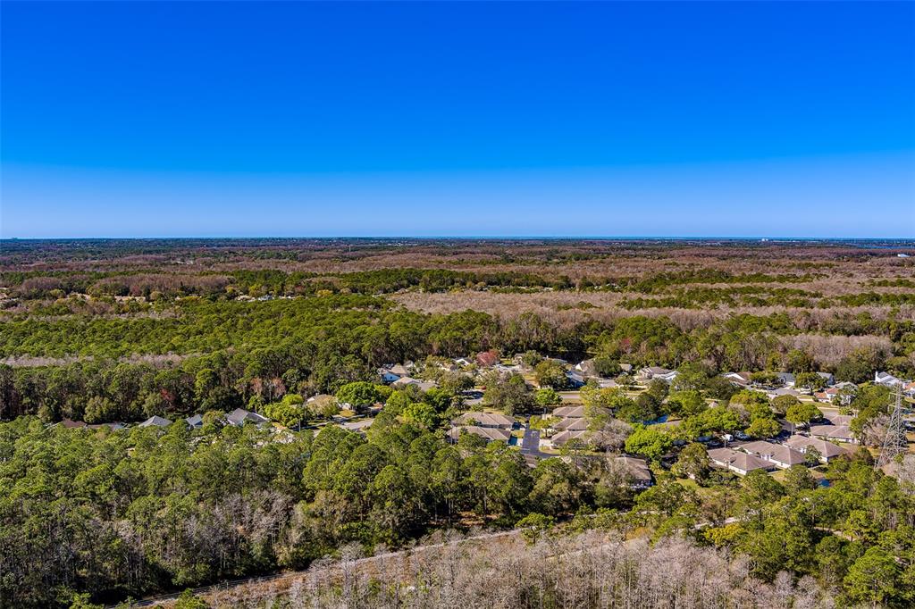 4405 Connery Court Palm Harbor, FL 34685 - Photo 49 of 51 a view of city and mountain