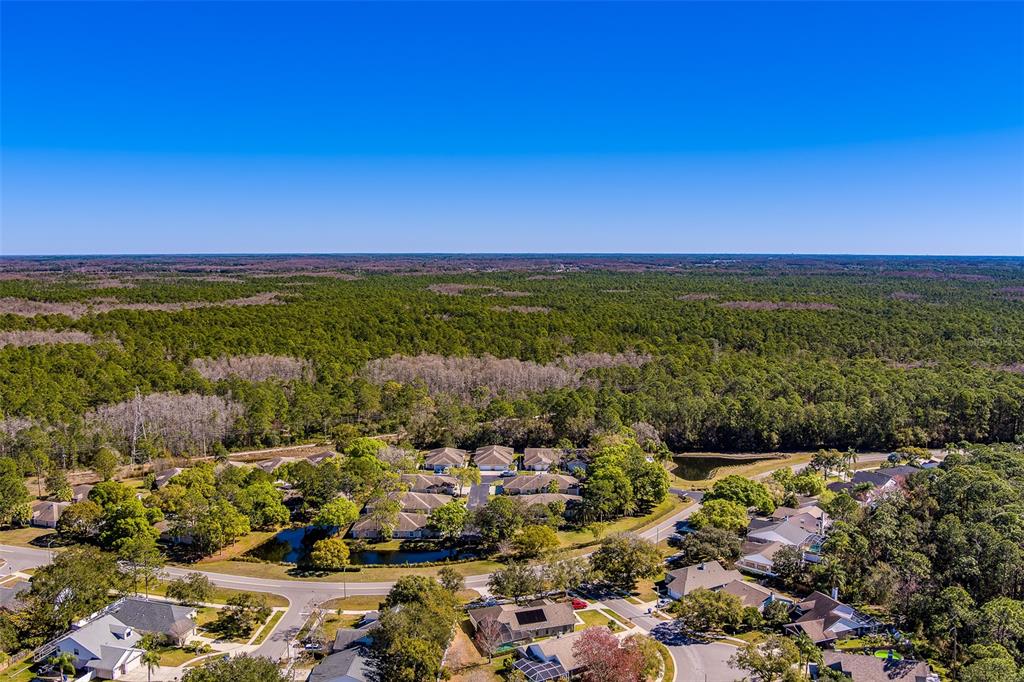 4405 Connery Court Palm Harbor, FL 34685 - Photo 50 of 51 a view of a city