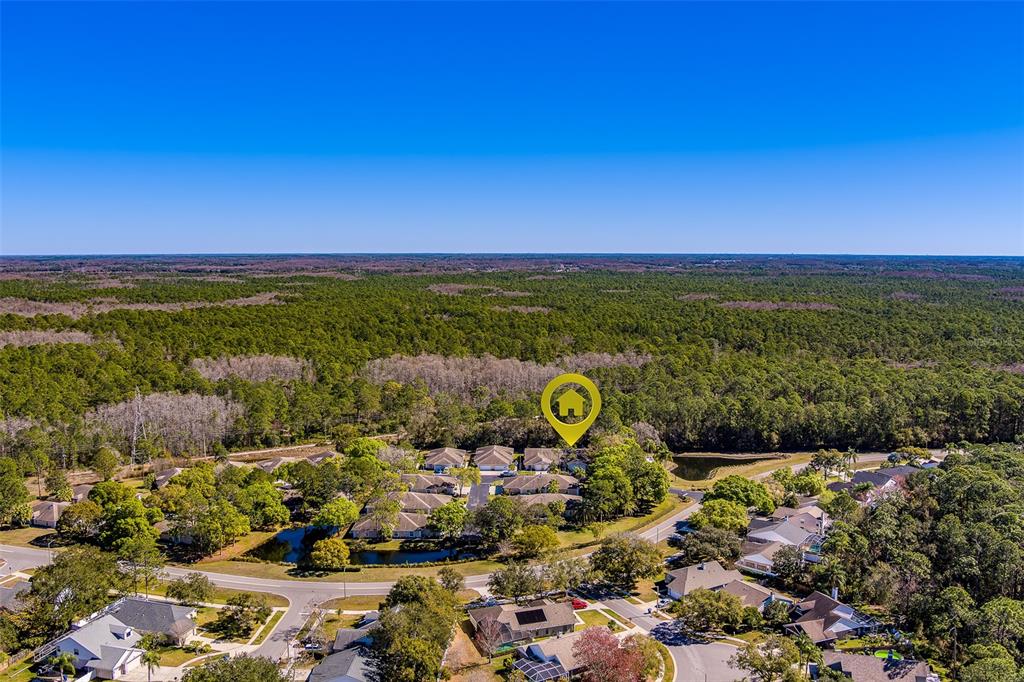 4405 Connery Court Palm Harbor, FL 34685 - Photo 51 of 51