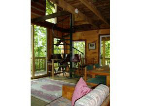910 Calf Mountain Road Waynesboro, VA 22980 - Photo 5 of 5 Gallery Image 5