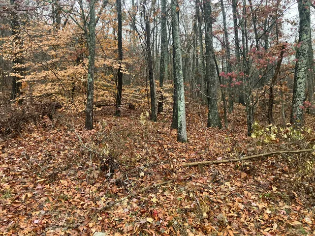 $55,000 | 5 Timber Ridge Drive, Jasper, TN 37347