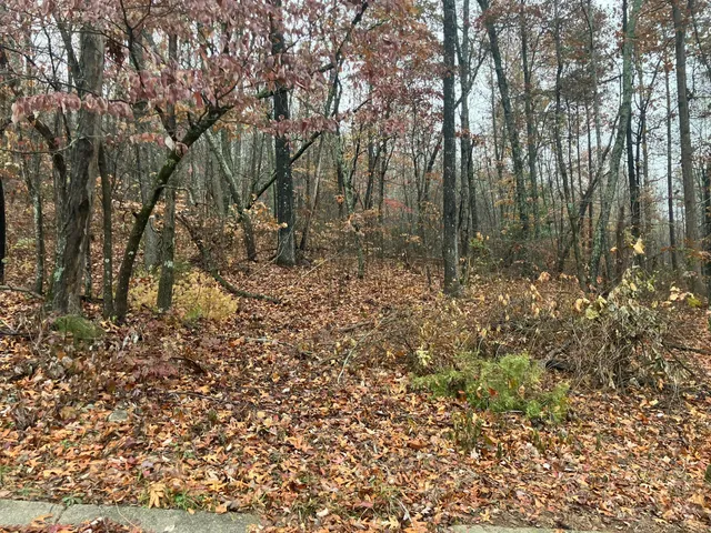 $55,000 | 5 Timber Ridge Drive, Jasper, TN 37347