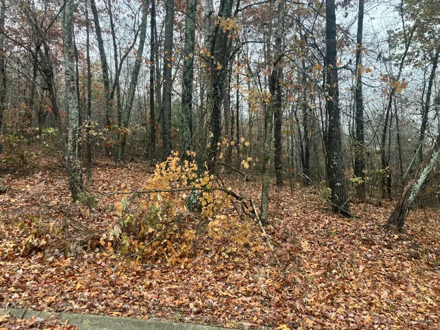 $55,000 | 5 Timber Ridge Drive, Jasper, TN 37347