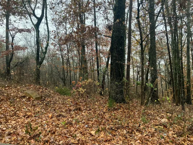 $55,000 | 5 Timber Ridge Drive, Jasper, TN 37347