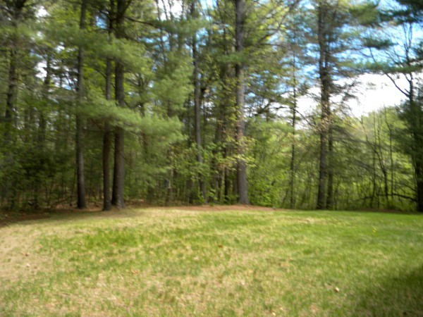 116 Austin Road Sudbury, MA 01776 - Photo 21 of 21