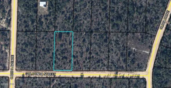 $70,000 | 0 Golconda Street, Alford, FL 32420