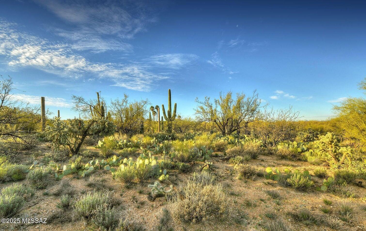 4503 Larkspur Road Tucson, AZ 85749 - Photo 3 of 12 Gallery Image 3