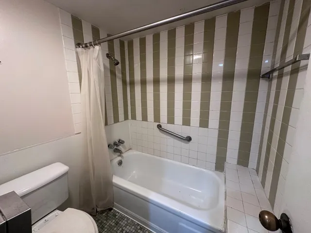 a bathroom with a toilet and a bathtub