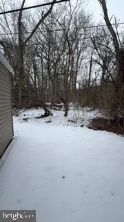 a view of road and trees