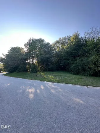a view of a yard with a big yard