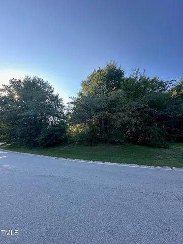 a view of outdoor space and yard